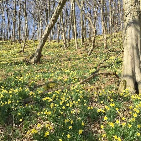 Venngasthof Zur Buche Monschau Exteriér fotografie